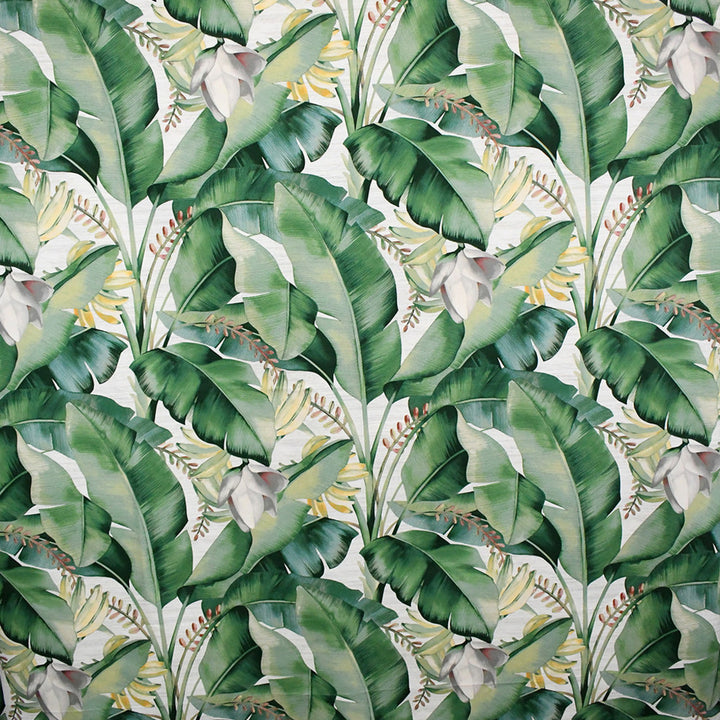 S5085 Aloe by Greenhouse Fabric 100% Cotton Peru 17,000 </p><p>Repeat: 13.5" H, 25.25" V 54" - Fabric Carolina -