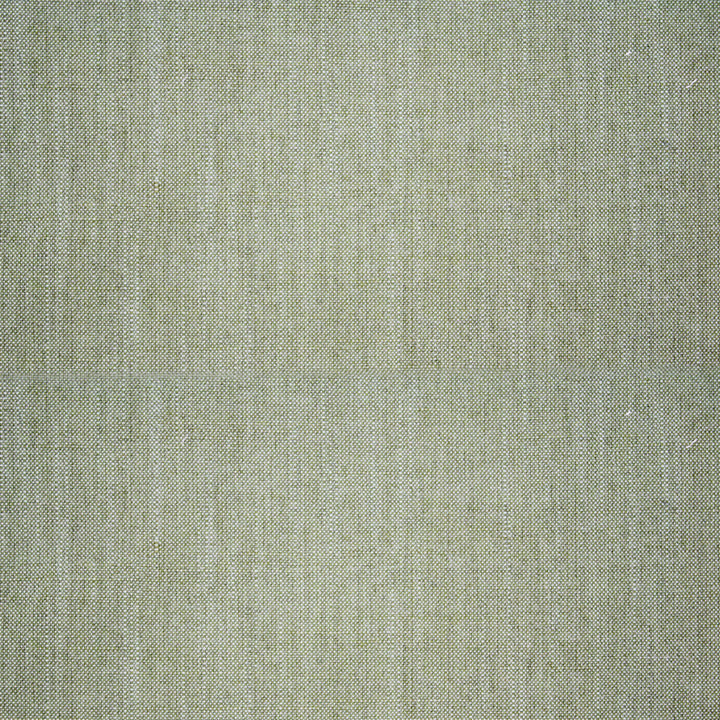 S5086 Palm by Greenhouse Fabric M11: Memos by Color 100% Polyester India 50,000 double rubs </p><p>Repeat: None 55" - Fabric Carolina -
