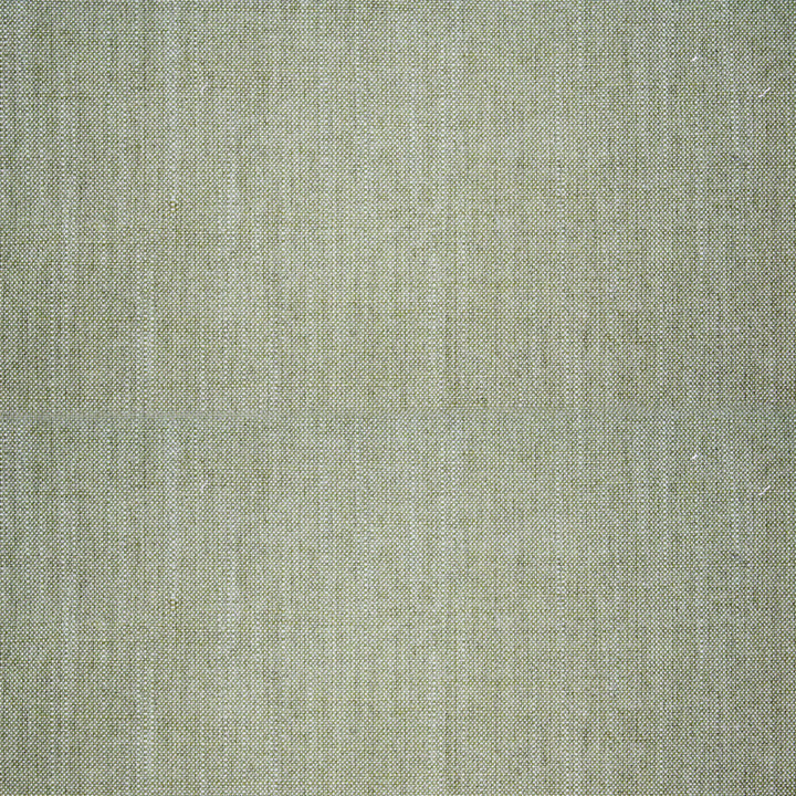 S5086 Palm by Greenhouse Fabric 100% Polyester India 50,000 </p><p>Repeat: None 55" - Fabric Carolina -