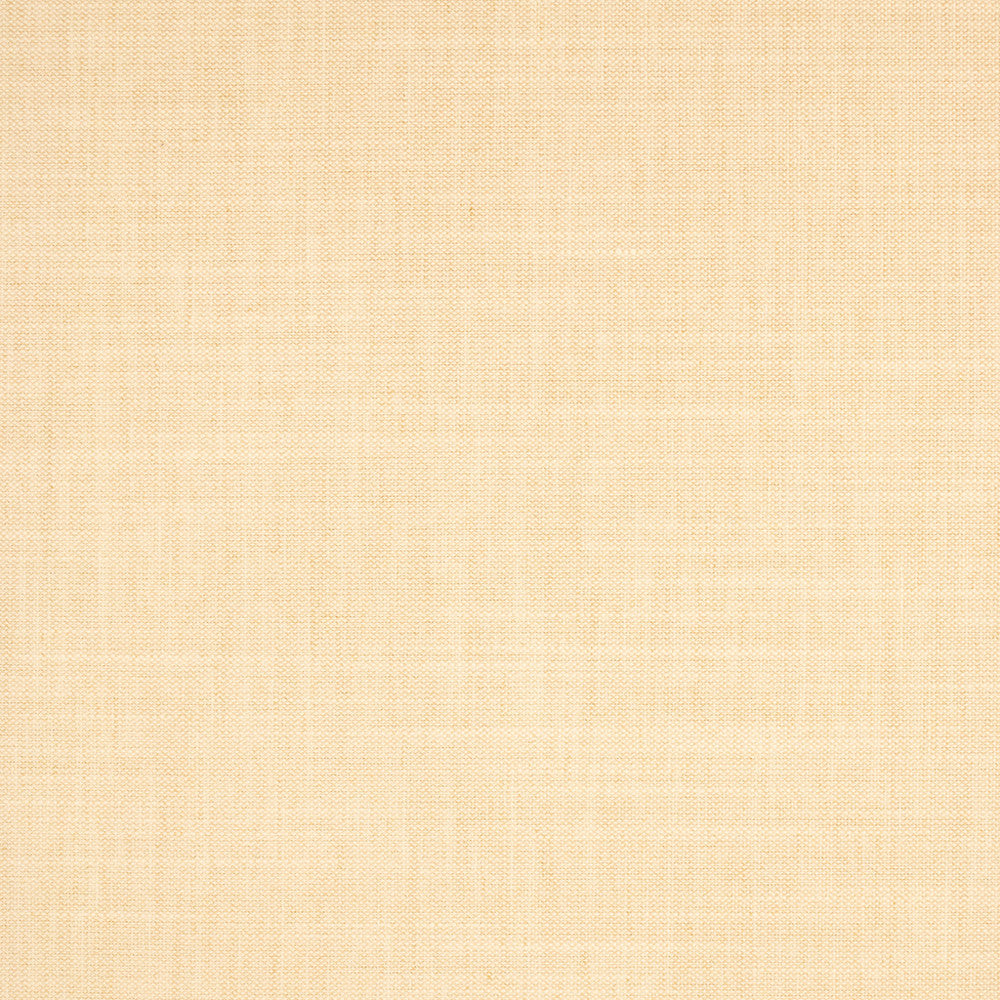S5132 Shell by Greenhouse Fabric 100% Polyester India 50,000 </p><p>Repeat: None 54" - Fabric Carolina -