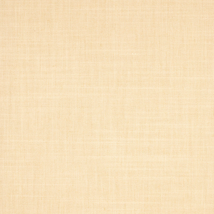 S5132 Shell by Greenhouse Fabric 100% Polyester India 50,000 </p><p>Repeat: None 54" - Fabric Carolina -