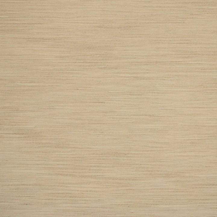 S5159 Raffia by Greenhouse Fabric 95% Polyester, 5% Cotton India DRAPERY </p><p>Repeat: 6.93" H, 23.23" V 55" - Fabric Carolina -