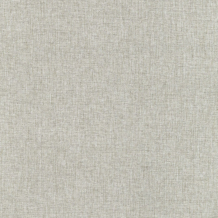 S5302 Dove by Greenhouse Fabric M13: Memos by Color 100% Polyester China 18,000 double rubs Performance </p><p>Repeat: None 56" - Fabric Carolina -