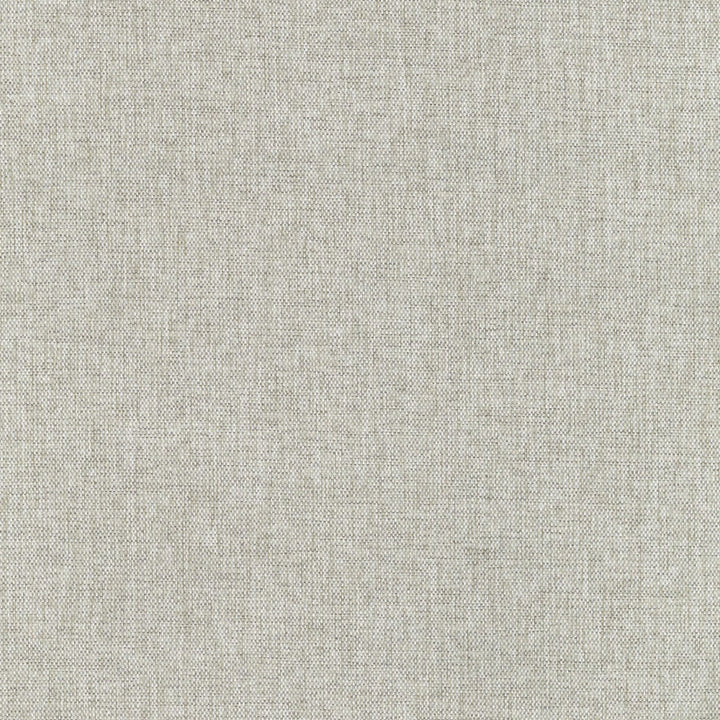 S5302 Dove by Greenhouse Fabric 100% Polyester China 18,000 </p><p>Repeat: None 56" - Fabric Carolina -