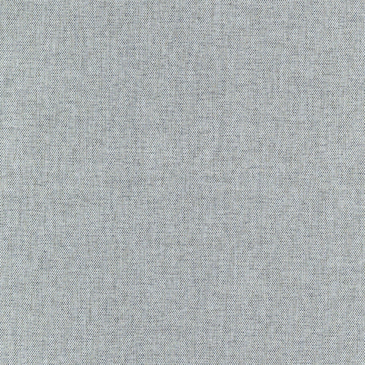 S5331 Sea by Greenhouse Designer Fabric 100% Polyester China 18,000 </p><p>Repeat: None 56" - Swanky Fabrics -