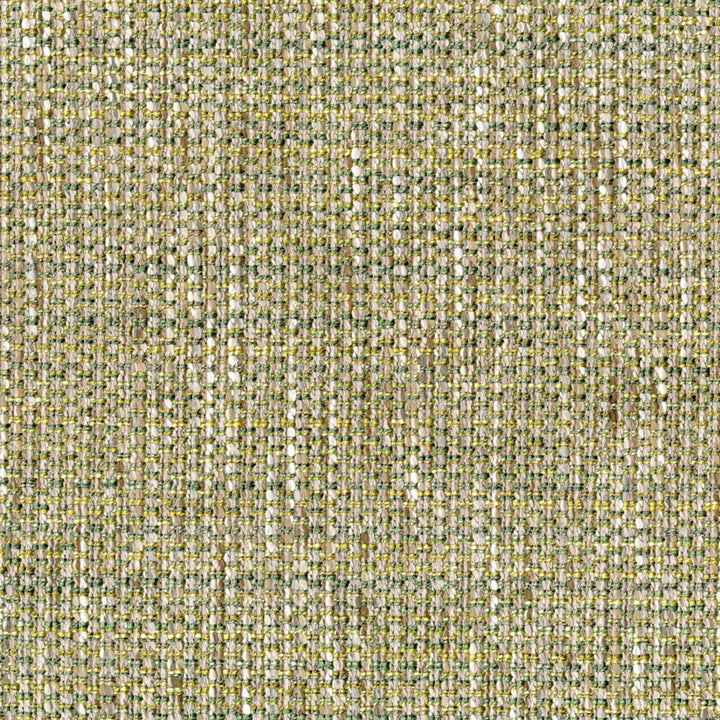 S5398 Grass by Greenhouse Fabric 60% Acrylic, 40% Polyester Turkey 27,000 </p><p>Repeat: None 56" - Fabric Carolina -