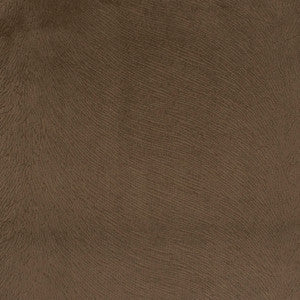 S5410 Cocoa by Greenhouse Fabric
