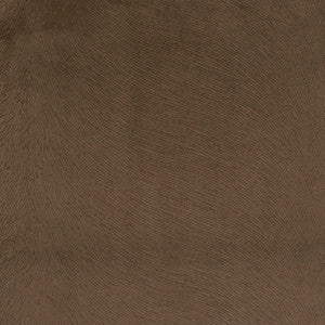 S5410 Cocoa by Greenhouse Fabric