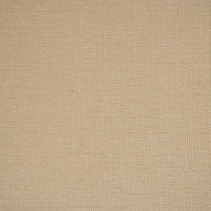 S5567 Oyster by Greenhouse Fabric