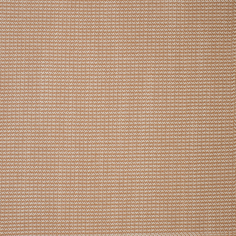 S5715 Blush by Greenhouse Fabric 100% Polyester USA 33,000 </p><p>Repeat: .188" H, .188" V 55" - Fabric Carolina -