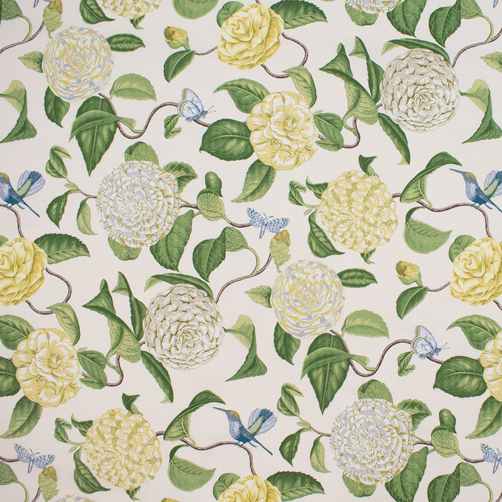 S5759 Oasis by Greenhouse Fabric M15: Memos by Color 100% Cotton Peru 25,000 double rubs </p><p>Repeat: 13.5" H, 27" V 54" - Fabric Carolina -