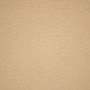 S5913 Cream by Greenhouse Fabric