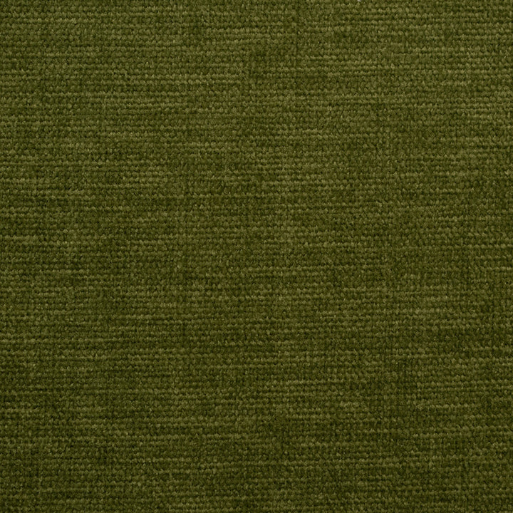 S5960 Kale by Greenhouse Fabric 100% Recycled Polyester India 50,000 </p><p>Repeat: None 54" - Fabric Carolina -