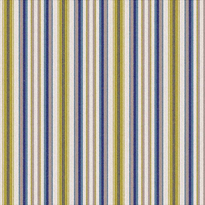 S6280 Sprout by Greenhouse Fabric 100% Solution-Dyed Acrylic USA 60,000 </p><p>Repeat: 2.2" H, .1" V 54" - Fabric Carolina -