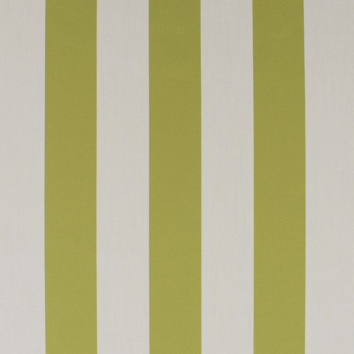 S6294 Basil by Greenhouse Fabric 100% Solution-Dyed Acrylic USA 60,000 </p><p>Repeat: 4.5" H 54" - Fabric Carolina -