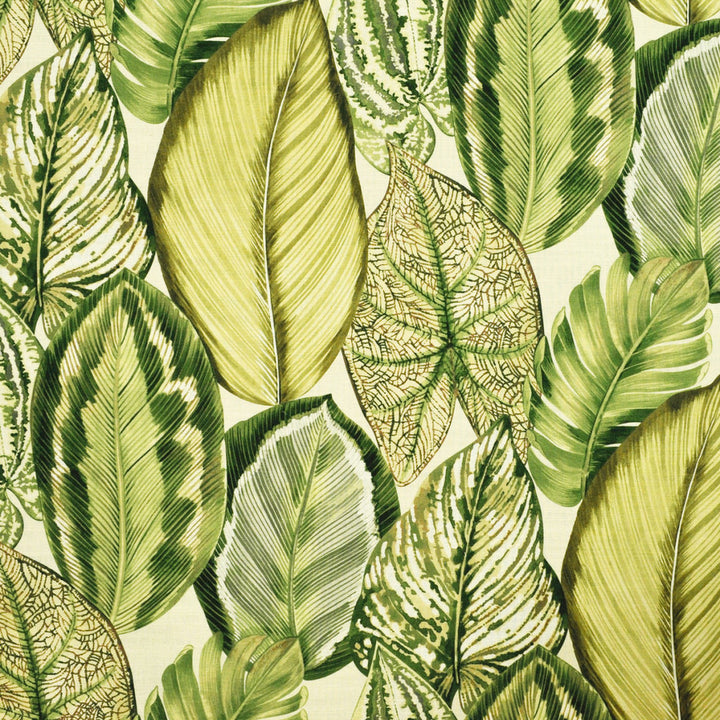 S6415 Dill by Greenhouse Fabric 100% Cotton Peru 25,000 </p><p>Repeat: 13.5" H, 25.25" V 54" - Fabric Carolina -