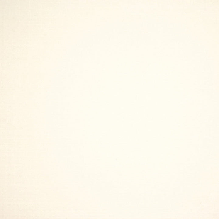 S6464 Optic White by Greenhouse Designer Fabric 100% Cotton USA 120,000 </p><p>Repeat: None 57" - Swanky Fabrics -