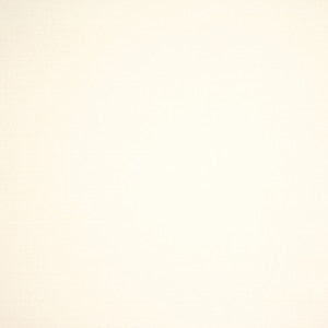 S6464 Optic White by Greenhouse Fabric