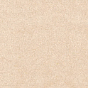 S6469 Canvas by Greenhouse Fabric