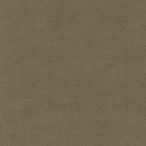 S6478 Vetiver by Greenhouse Fabric