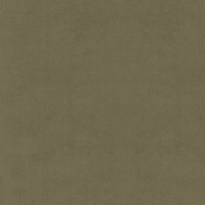 S6478 Vetiver by Greenhouse Fabric 100% Cotton USA 100,000 </p><p>Repeat: None 57" - Fabric Carolina -