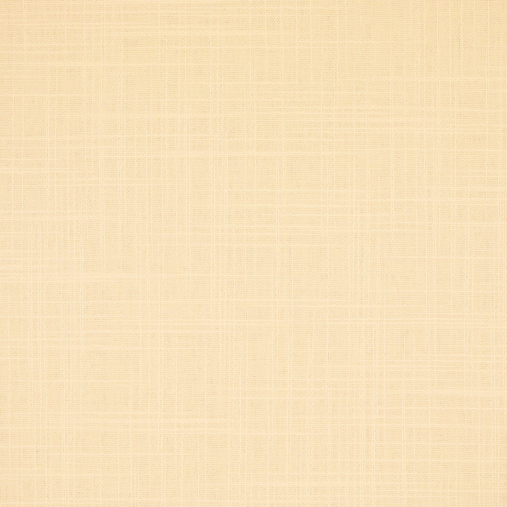 S6547 Cream by Greenhouse Fabric 100% Polyester India 100,000 </p><p>Repeat: None 54" - Fabric Carolina -
