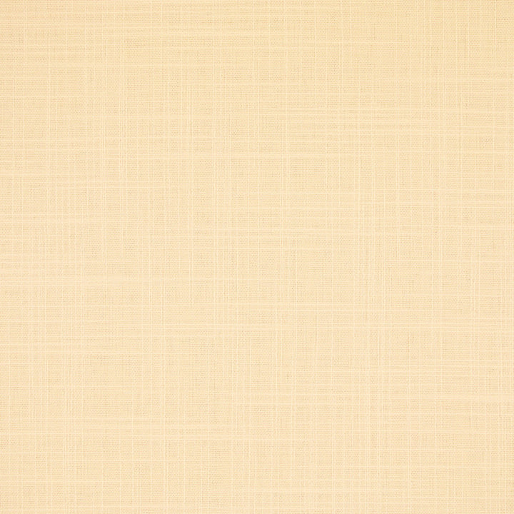 S6547 Cream by Greenhouse Fabric 100% Polyester India 100,000 </p><p>Repeat: None 54" - Fabric Carolina -