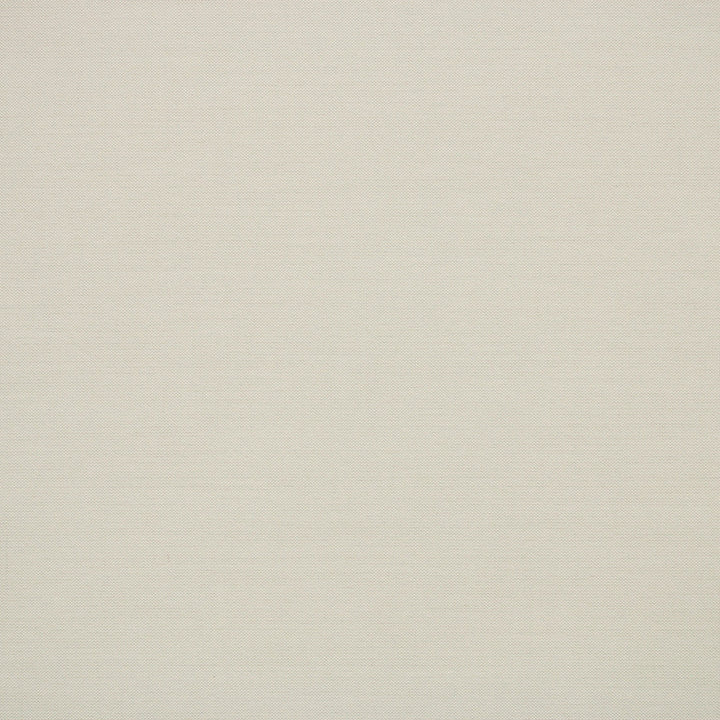 S6560 Pebble by Greenhouse Fabric 100% Polyester India 100,000 </p><p>Repeat: None 54" - Fabric Carolina -