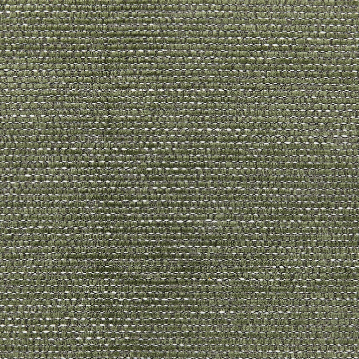 S6666 Green by Greenhouse Fabric 100% Polyester China 80,000 </p><p>Repeat: None 54" - Fabric Carolina -