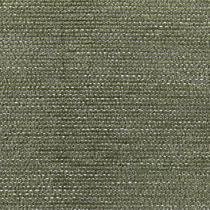 S6666 Green by Greenhouse Designer Fabric 100% Polyester China 80,000 </p><p>Repeat: None 54" - Swanky Fabrics -