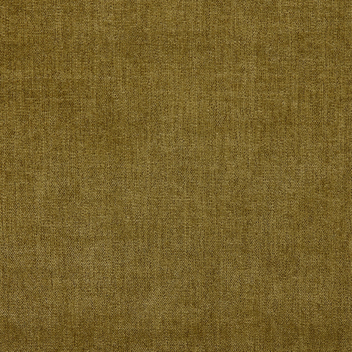 S6683 Olive by Greenhouse Fabric 100% Polyester China 100,000 </p><p>Repeat: None 54" - Fabric Carolina -