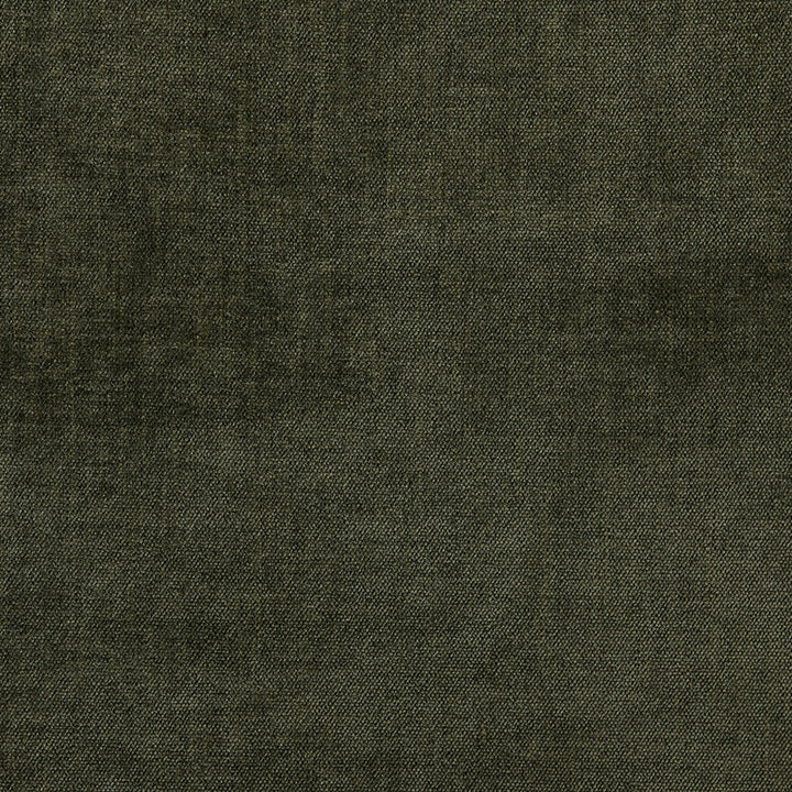 S6686 Jungle by Greenhouse Fabric 100% Polyester China 100,000 </p><p>Repeat: None 54" - Fabric Carolina -