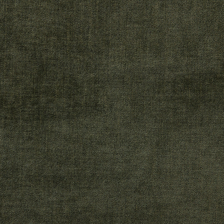S6686 Jungle by Greenhouse Designer Fabric 100% Polyester China 100,000 </p><p>Repeat: None 54" - Swanky Fabrics -