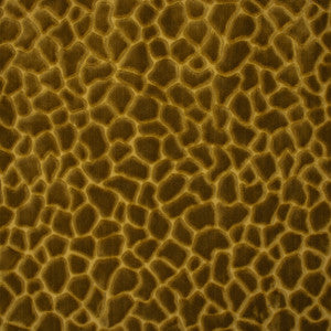 S6743 Gold by Greenhouse Fabric