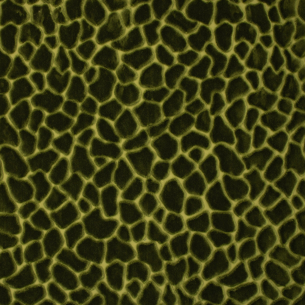 S6756 Forest by Greenhouse Fabric 82% Polyester Filament, 18% Polyester Spn India 100,000 </p><p>Repeat: 14.59" H, 28" V 55" - Fabric Carolina -