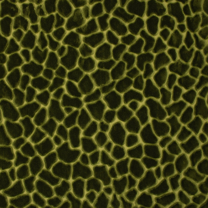 S6756 Forest by Greenhouse Fabric 82% Polyester Filament, 18% Polyester Spn India 100,000 </p><p>Repeat: 14.59" H, 28" V 55" - Fabric Carolina -