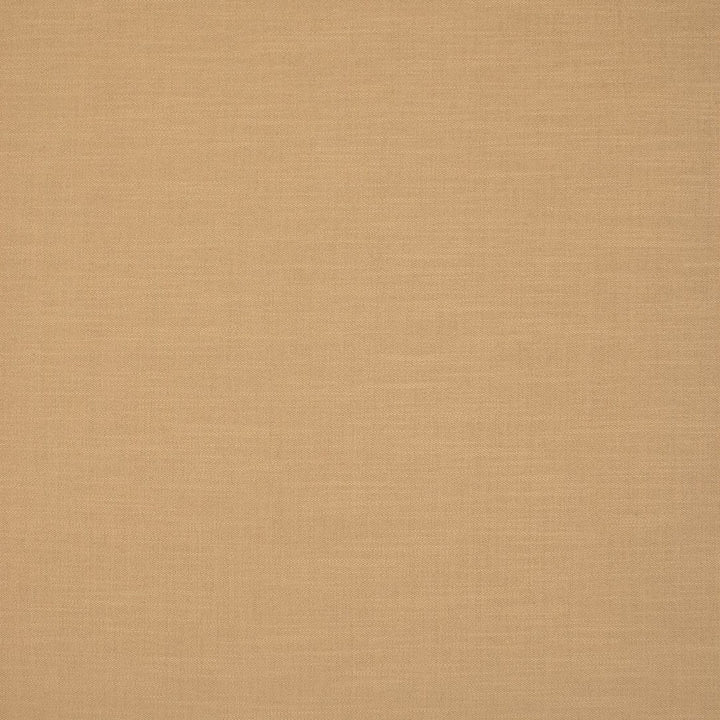 S6811 Buff by Greenhouse Fabric 54% Linen, 38% Viscose, 8% Cotton India 25,000 </p><p>Repeat: None 56" - Fabric Carolina -