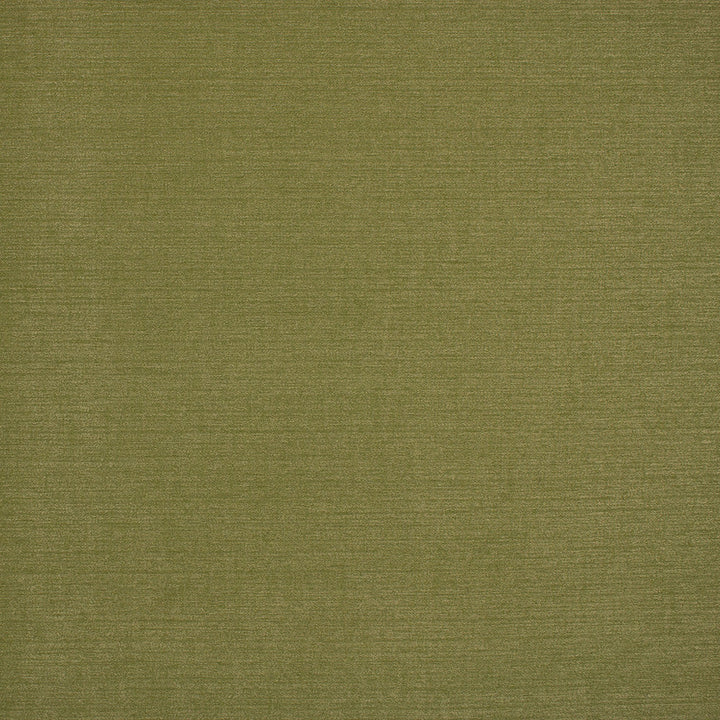 S6911 Moss by Greenhouse Designer Fabric 54% Linen, 38% Viscose, 8% Cotton India 25,000 </p><p>Repeat: None 56" - Swanky Fabrics -