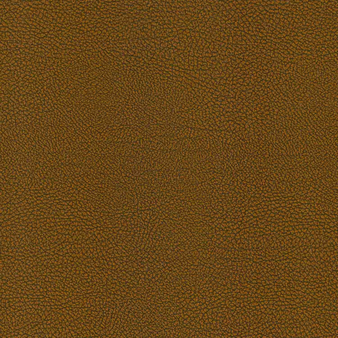 S8027 Earth by Greenhouse Designer Fabric