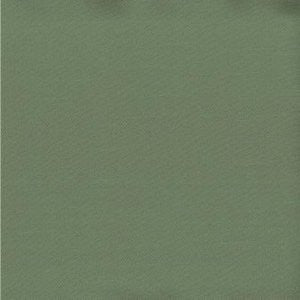 Saigon Aspen by Norbar Fabric 60% COTTON 40% POLYESTER TAIWAN 54" - Fabric Carolina -