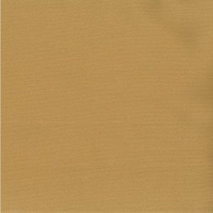 Saigon Chamois by Norbar Fabric