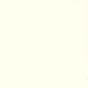 Saigon Ecru by Norbar Fabric 60% COTTON 40% POLYESTER TAIWAN 54" - Fabric Carolina -