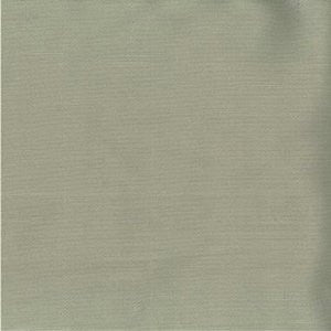 Saigon Oyster by Norbar Fabric