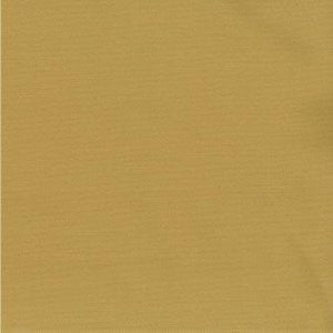 Saigon Pale Gold by Norbar Fabric