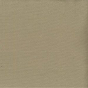 Saigon Putty by Norbar Fabric