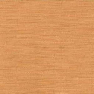 Saipan Apricot 603 by Norbar Fabric See Sample 75% POLYESTER 25% VISCOSE - - </p><p>Repeat: Horizontal: and Vertical: - 54" - Fabric Carolina -