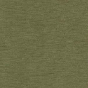 Saipan Tropic 372 by Norbar Fabric 75% POLYESTER 25% VISCOSE DRAPERY ONLY </p><p>Repeat: 54" - Fabric Carolina -