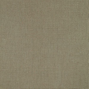 Sakara Sparrow 876 by Norbar Fabric