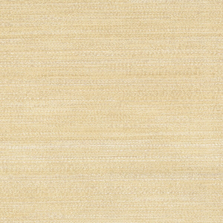 Saldana 2 Champagne by Stout Fabric CITY LIFE 100%POL INDIA MARTINDALE WEAR TEST (10 000 CIRCULAR RUBS) </p><p>Repeat: 0 54 in - Fabric Carolina -
