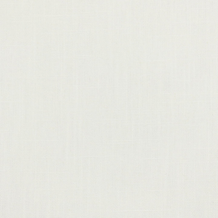 Salon 4 Chalk by Stout Fabric Stout Fabric Salon 4 ChalkFabric THE NATURALS III 42%POL 20%COT 19%SVI 19%LIN INDIA </p><p>Repeat: H: 0.000, V: 0.000 55 in - Fabric Carolina -